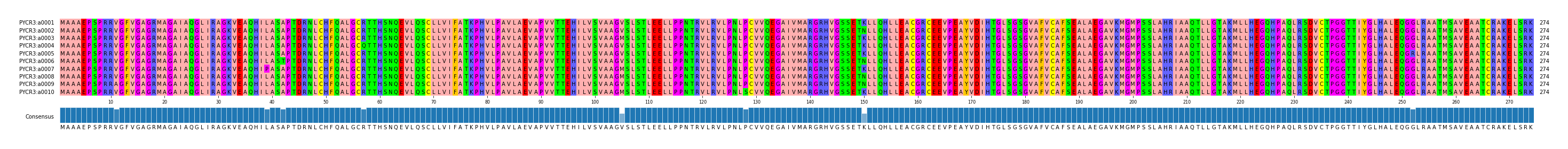 Multiple Alignments (by translate haplotype frequency)