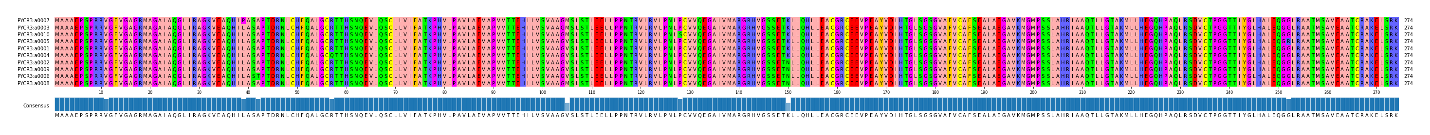 Multiple Alignments (by translate haplotype similarity)