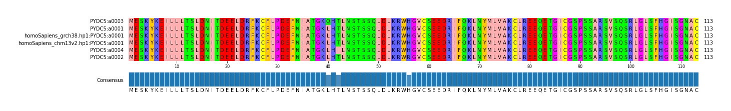 Multiple Alignments (by translate haplotype similarity)
