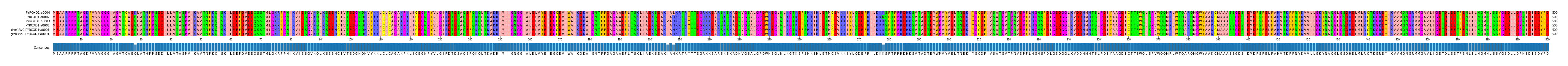 Multiple Alignments (by translate haplotype similarity)