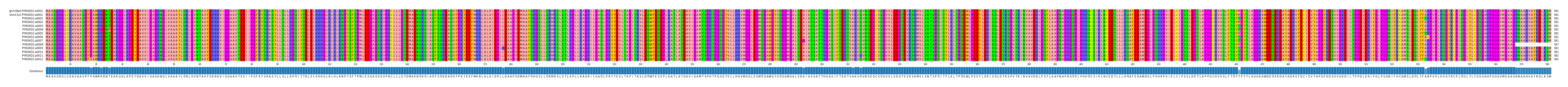 Multiple Alignments (by translate haplotype frequency)