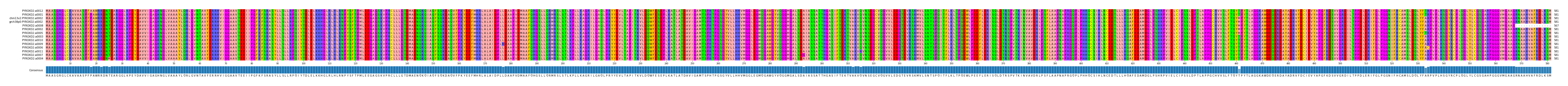 Multiple Alignments (by translate haplotype similarity)