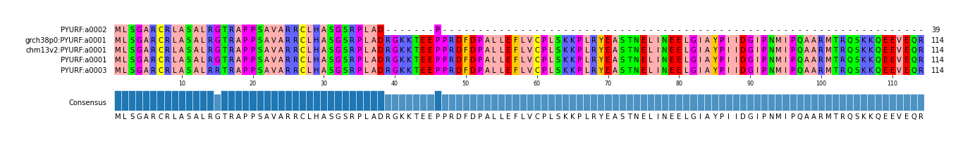 Multiple Alignments (by translate haplotype similarity)
