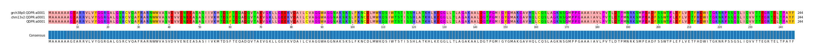 Multiple Alignments (by translate haplotype similarity)