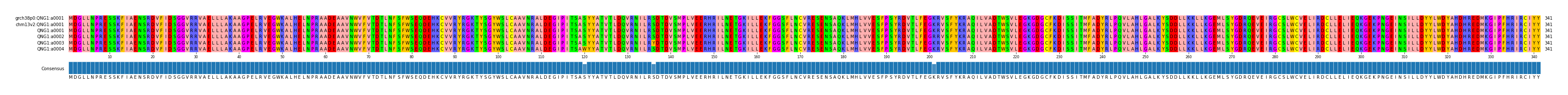 Multiple Alignments (by translate haplotype frequency)