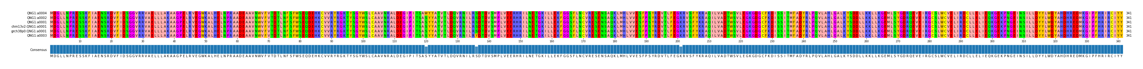 Multiple Alignments (by translate haplotype similarity)