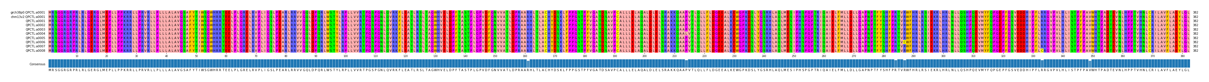 Multiple Alignments (by translate haplotype frequency)