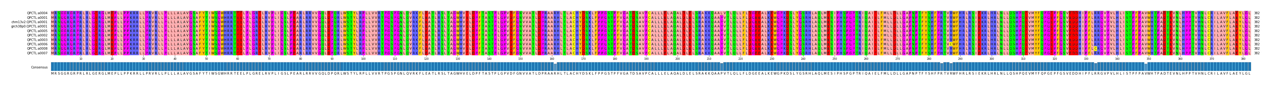 Multiple Alignments (by translate haplotype similarity)