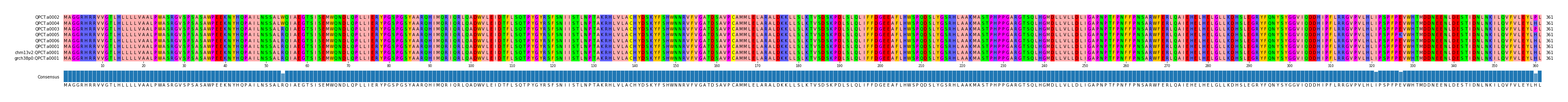 Multiple Alignments (by translate haplotype similarity)