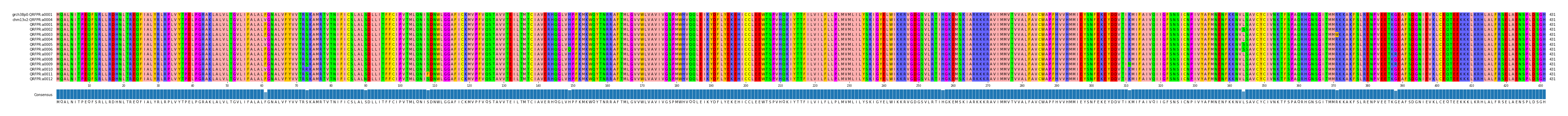 Multiple Alignments (by translate haplotype frequency)