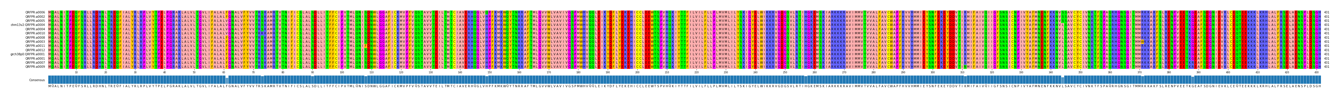 Multiple Alignments (by translate haplotype similarity)