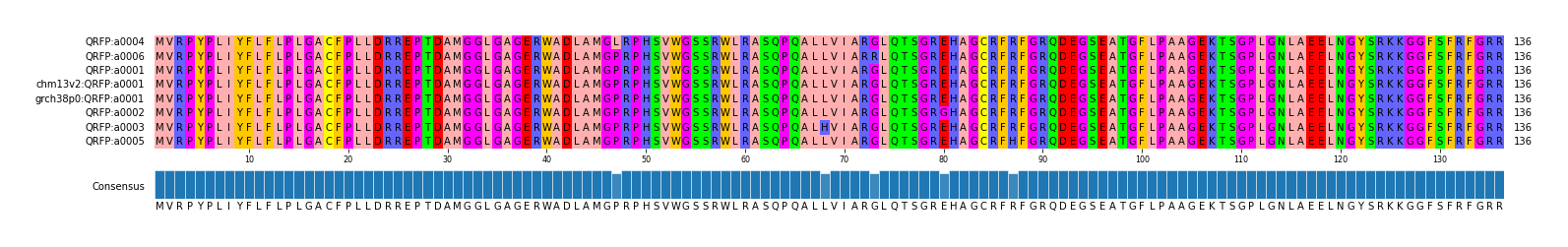 Multiple Alignments (by translate haplotype similarity)