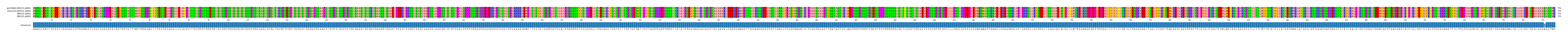 Multiple Alignments (by translate haplotype similarity)