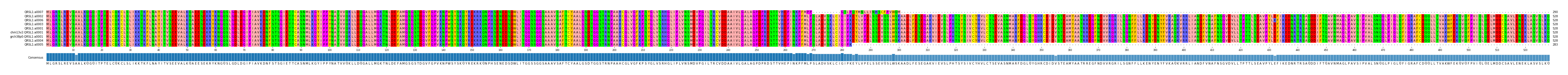 Multiple Alignments (by translate haplotype similarity)
