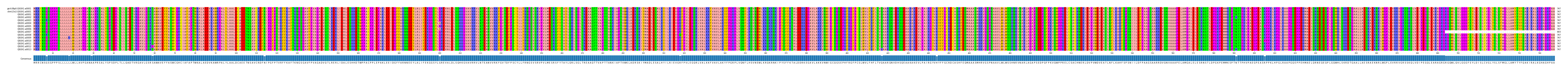 Multiple Alignments (by translate haplotype frequency)