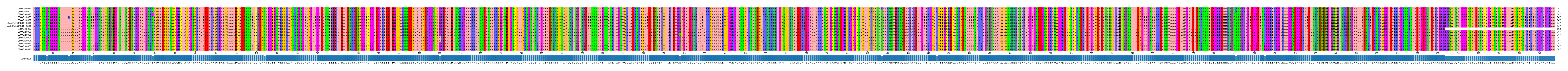 Multiple Alignments (by translate haplotype similarity)