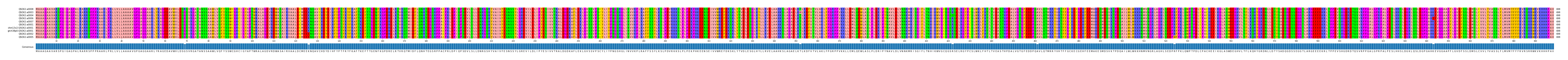 Multiple Alignments (by translate haplotype similarity)