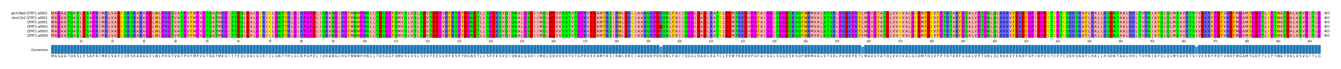 Multiple Alignments (by translate haplotype frequency)