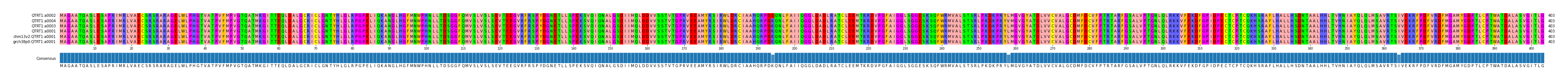 Multiple Alignments (by translate haplotype similarity)