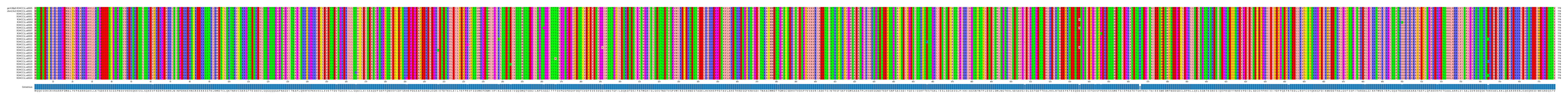 Multiple Alignments (by translate haplotype frequency)