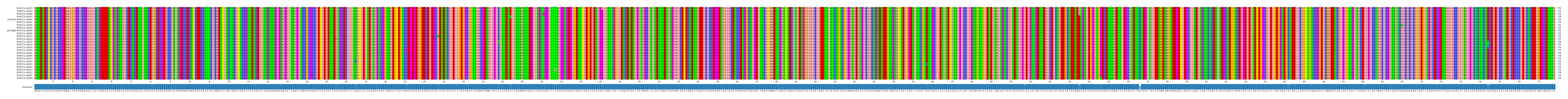 Multiple Alignments (by translate haplotype similarity)