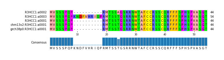 Multiple Alignments (by translate haplotype similarity)