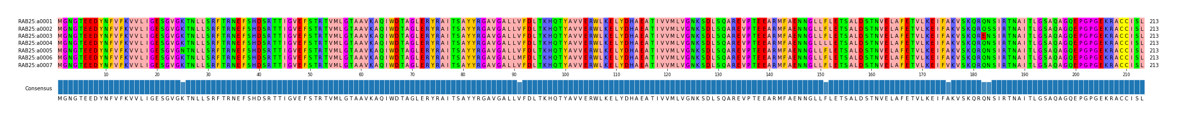 Multiple Alignments (by translate haplotype frequency)
