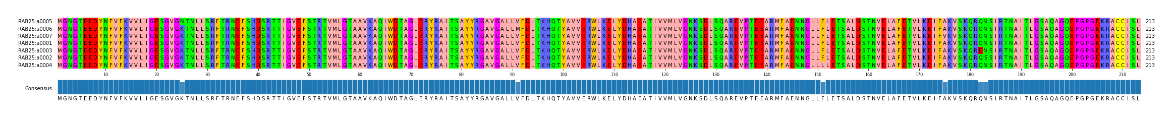 Multiple Alignments (by translate haplotype similarity)