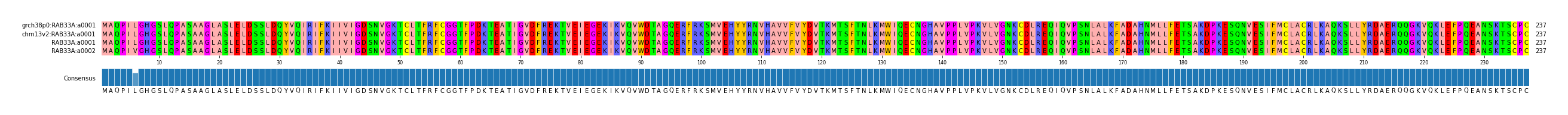 Multiple Alignments (by translate haplotype similarity)