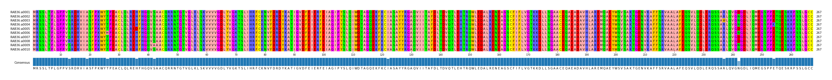 Multiple Alignments (by translate haplotype frequency)