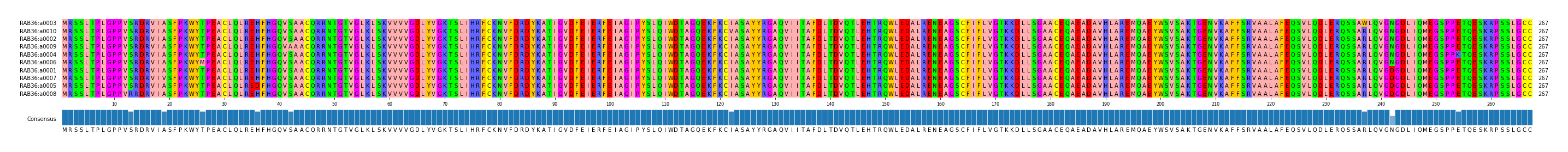 Multiple Alignments (by translate haplotype similarity)