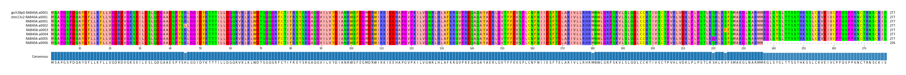 Multiple Alignments (by translate haplotype frequency)