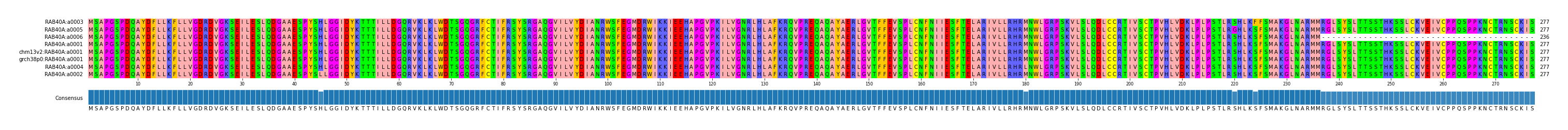 Multiple Alignments (by translate haplotype similarity)