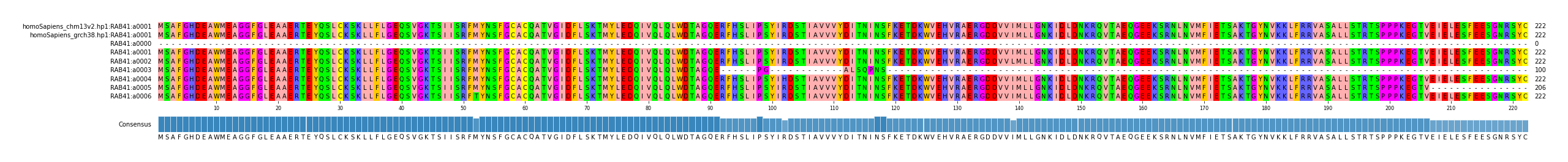 Multiple Alignments (by translate haplotype frequency)