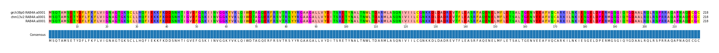 Multiple Alignments (by translate haplotype similarity)