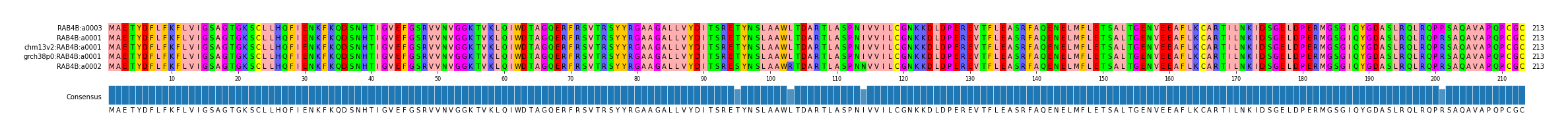 Multiple Alignments (by translate haplotype similarity)
