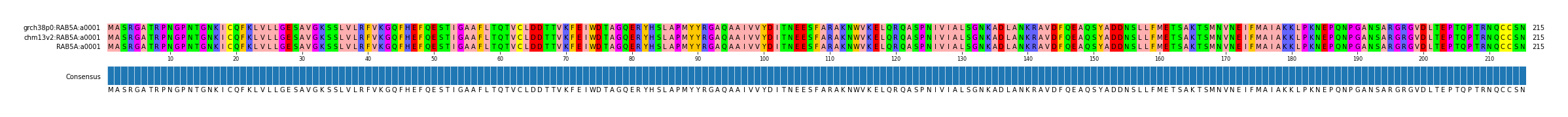 Multiple Alignments (by translate haplotype similarity)