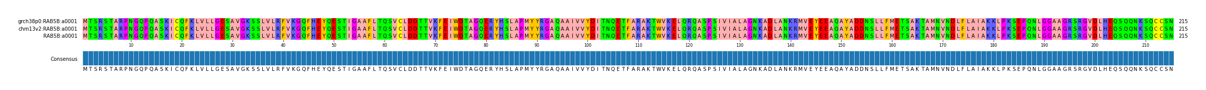 Multiple Alignments (by translate haplotype similarity)