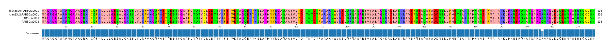 Multiple Alignments (by translate haplotype similarity)