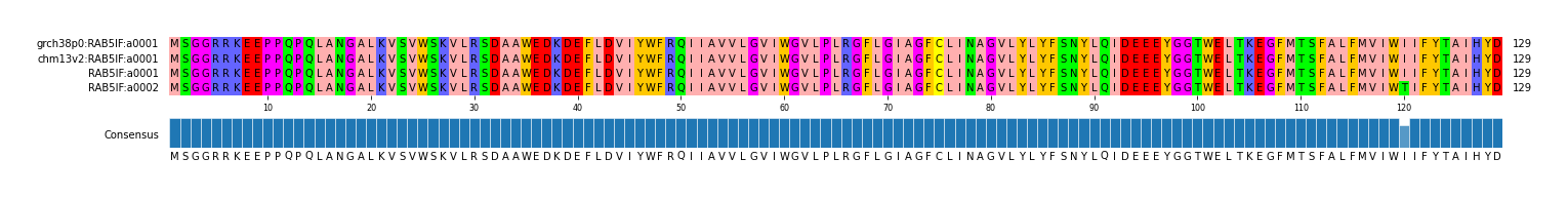 Multiple Alignments (by translate haplotype similarity)