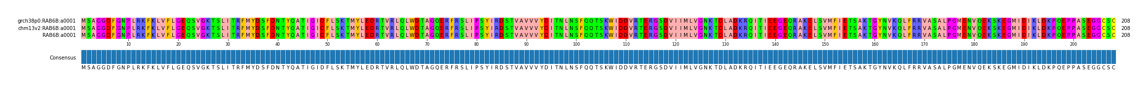 Multiple Alignments (by translate haplotype similarity)