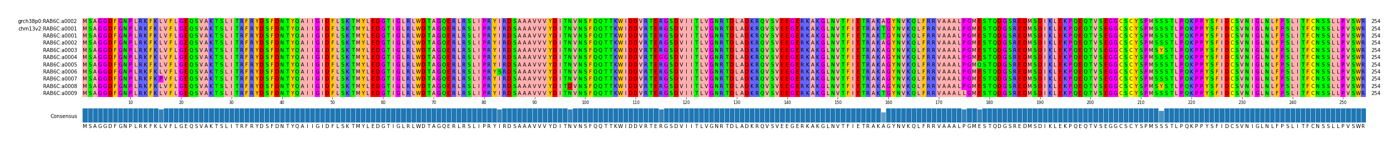 Multiple Alignments (by translate haplotype frequency)