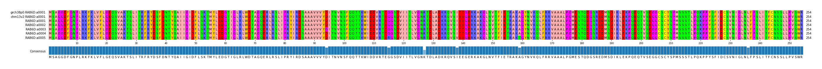 Multiple Alignments (by translate haplotype frequency)
