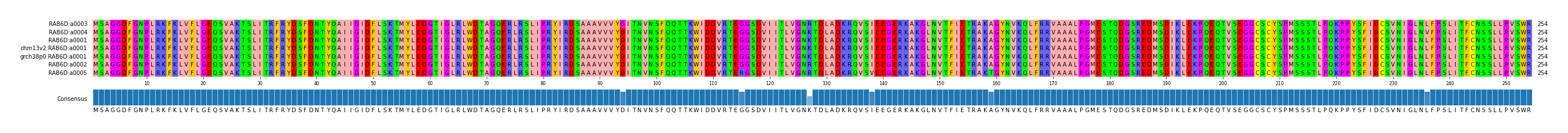 Multiple Alignments (by translate haplotype similarity)