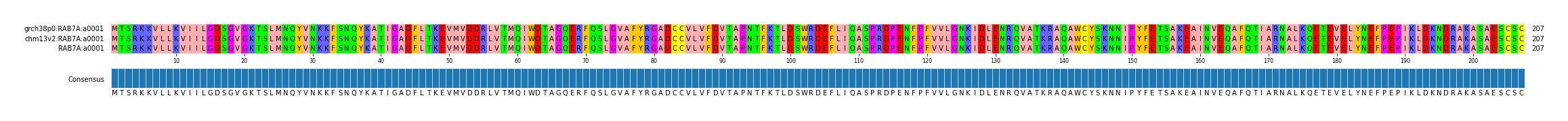 Multiple Alignments (by translate haplotype similarity)