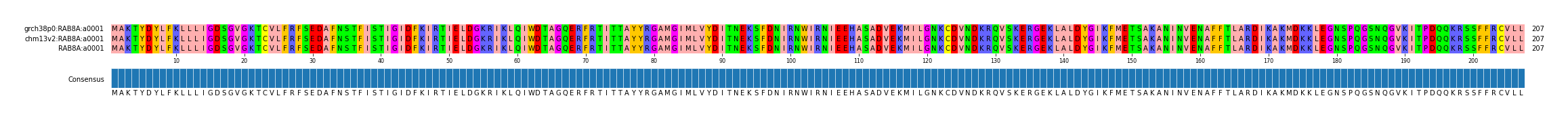 Multiple Alignments (by translate haplotype frequency)