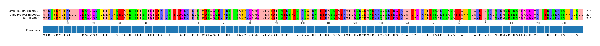 Multiple Alignments (by translate haplotype similarity)