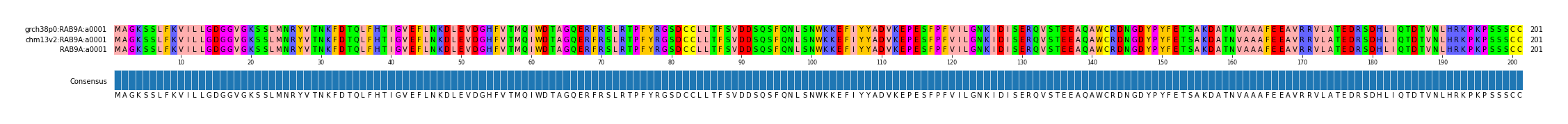 Multiple Alignments (by translate haplotype similarity)