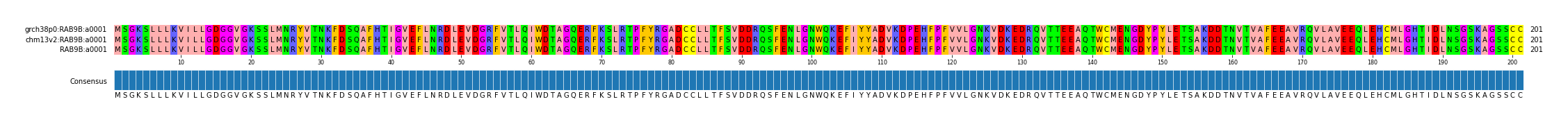 Multiple Alignments (by translate haplotype similarity)