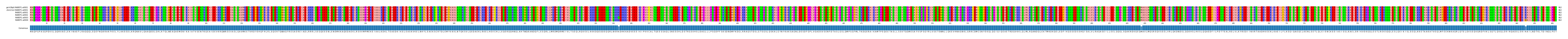 Multiple Alignments (by translate haplotype frequency)
